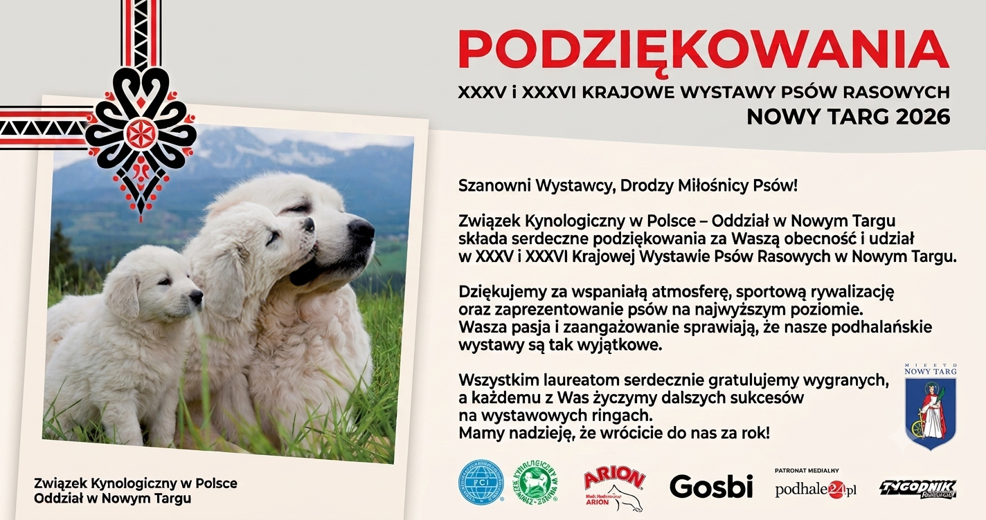Wystawa